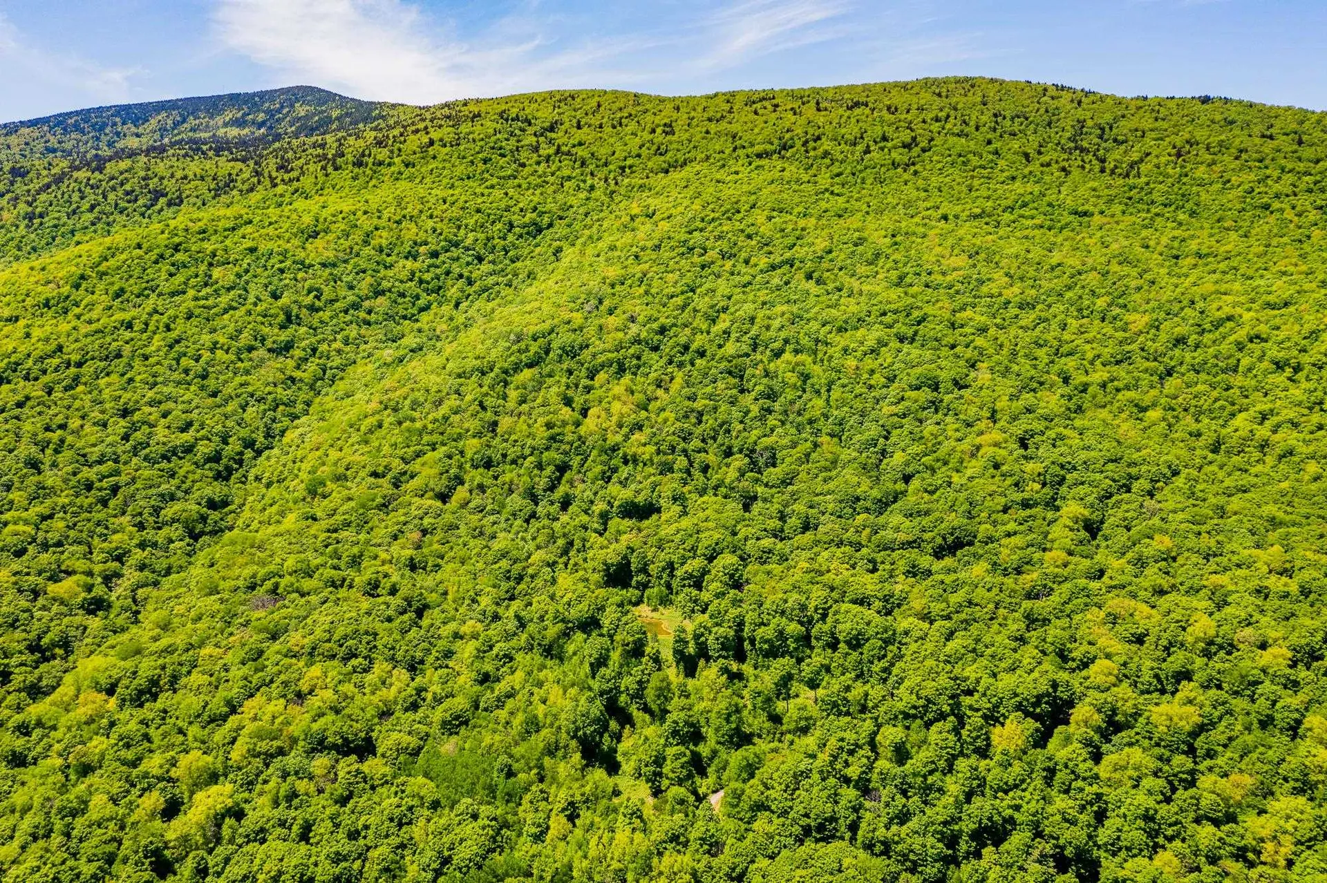 A Windsor Road Manchester VT 05255