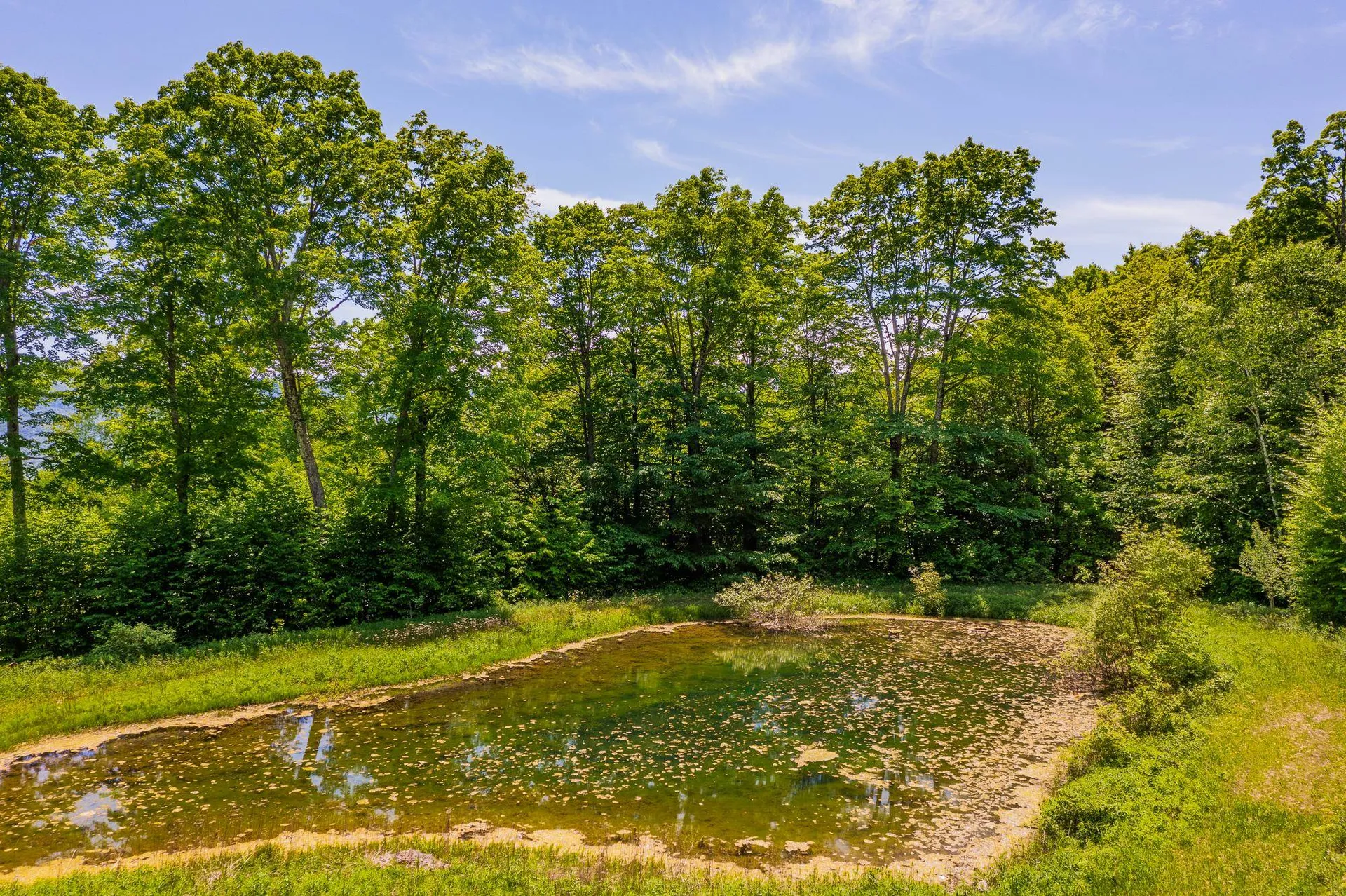 A Windsor Road Manchester VT 05255