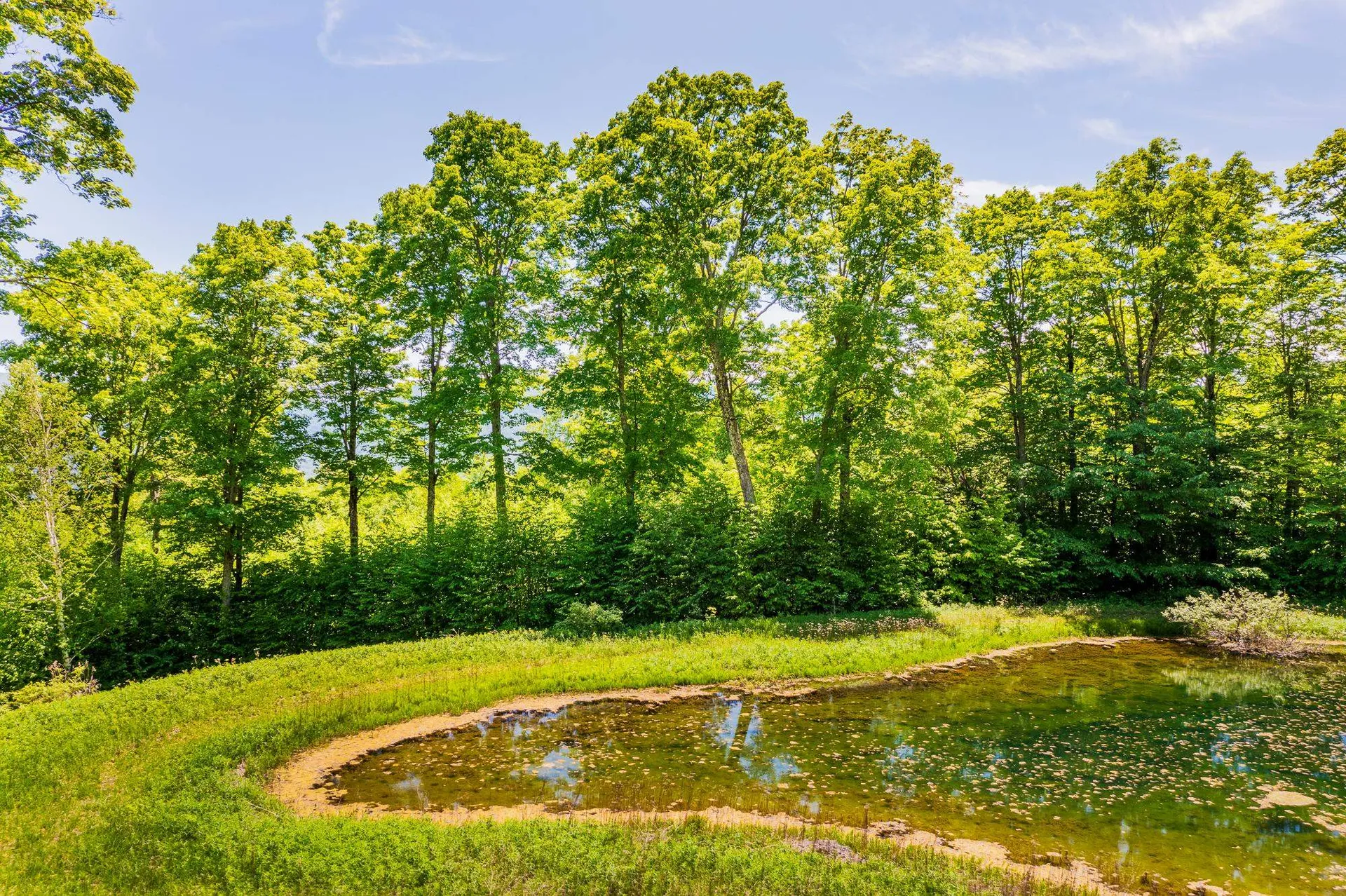 A Windsor Road Manchester VT 05255