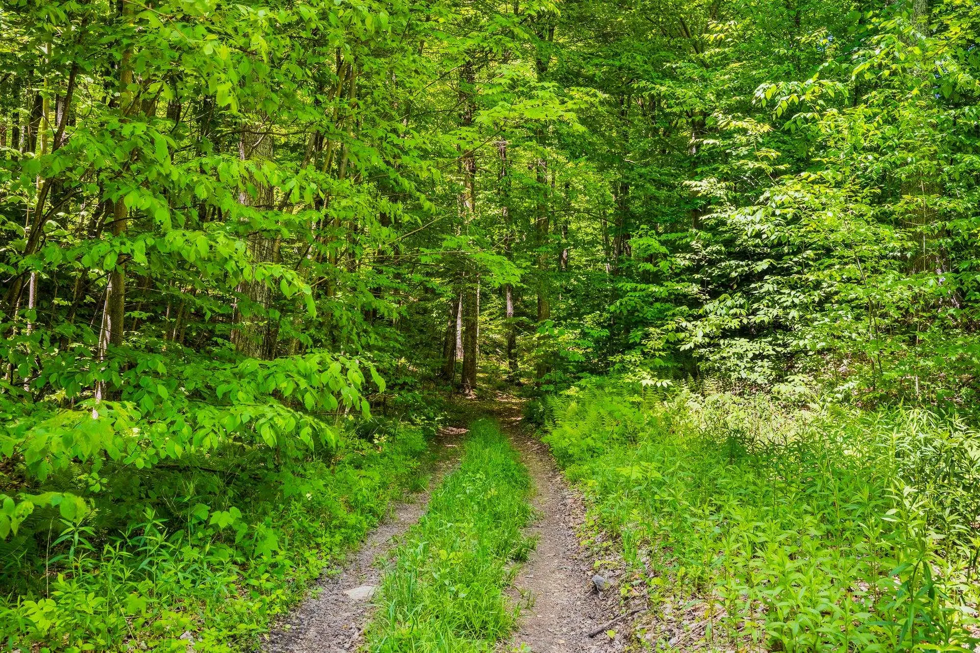 A Windsor Road Manchester VT 05255