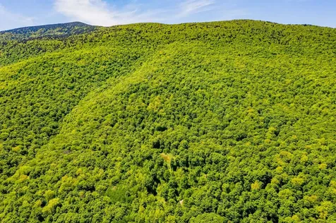 A Windsor Road Manchester VT 05255