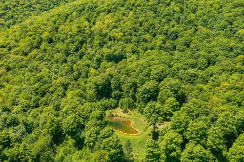 A Windsor Road Manchester VT 05255