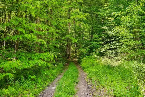 A Windsor Road Manchester VT 05255