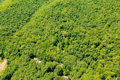 A Windsor Road Manchester VT 05255