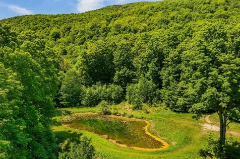 A Windsor Road Manchester VT 05255