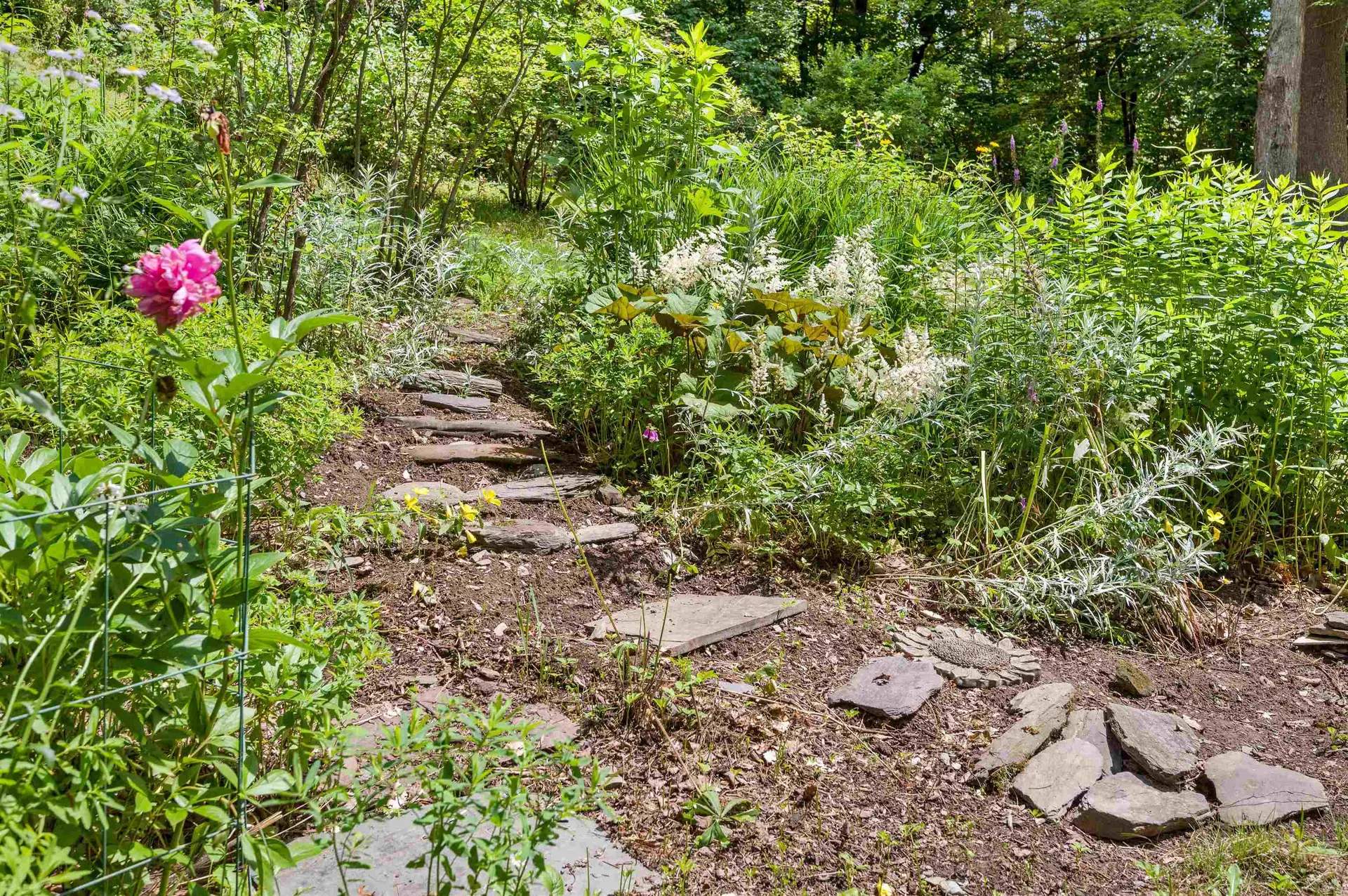 81 American Chestnut Way Berlin VT 05602