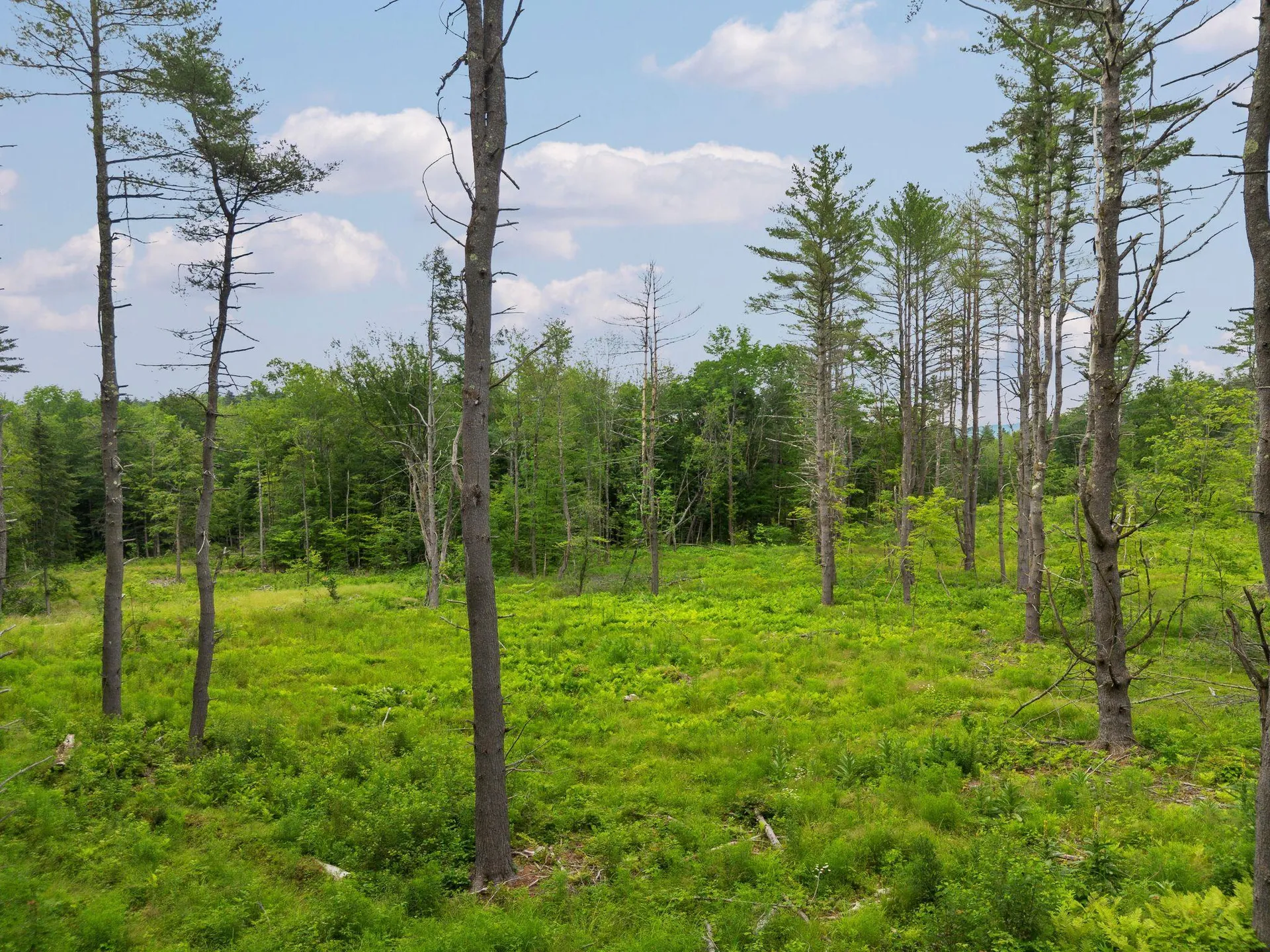 315 Gove Road Acworth NH 03601