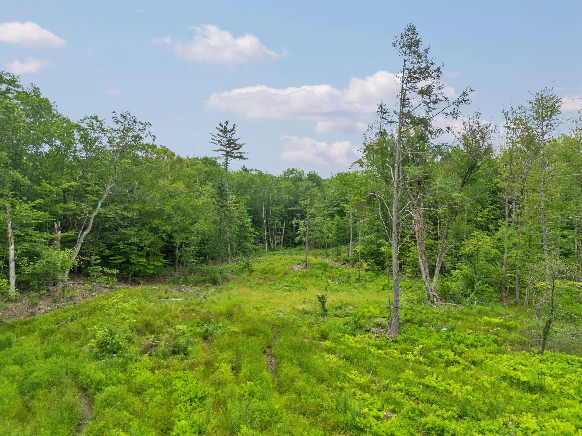 315 Gove Road Acworth NH 03601