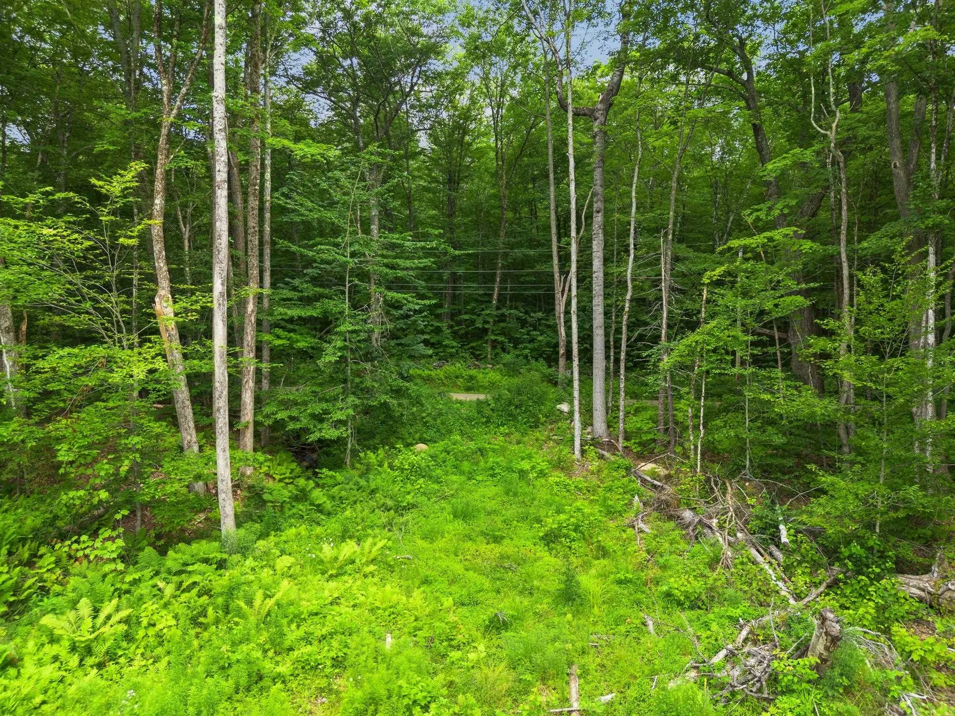 315 Gove Road Acworth NH 03601