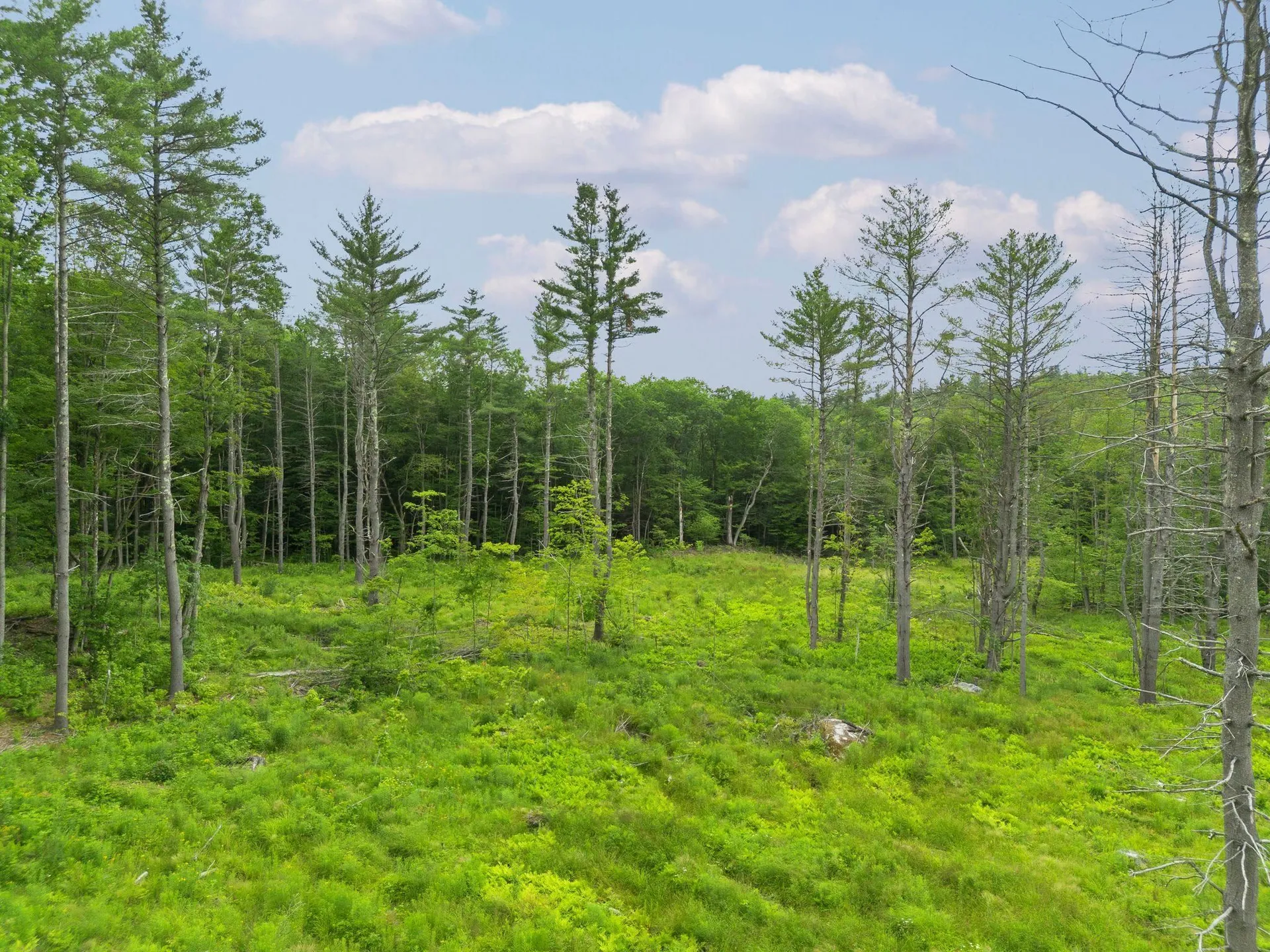 315 Gove Road Acworth NH 03601