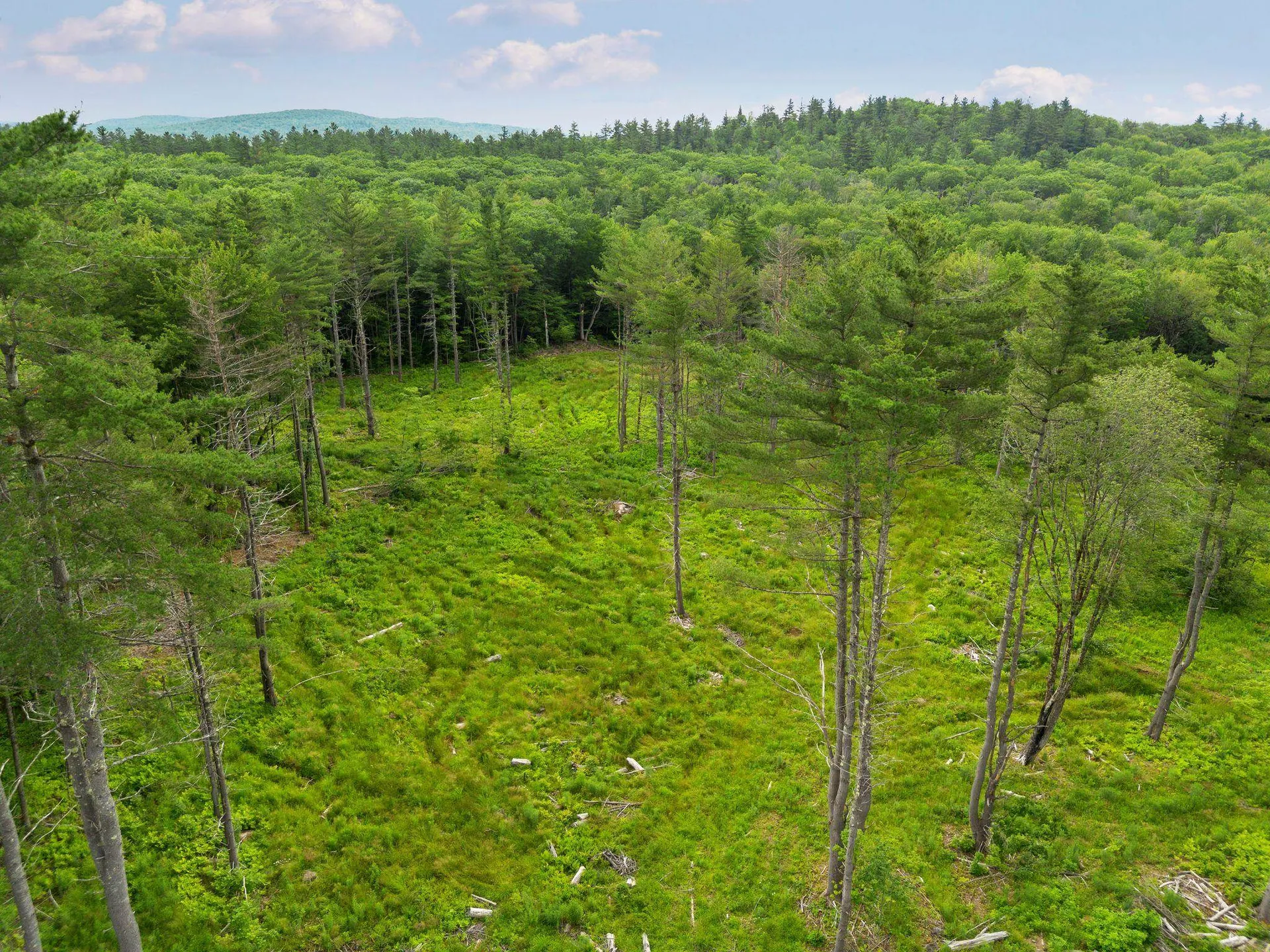 315 Gove Road Acworth NH 03601