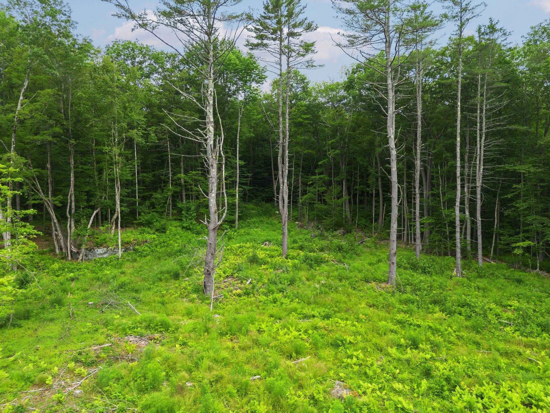 315 Gove Road Acworth NH 03601