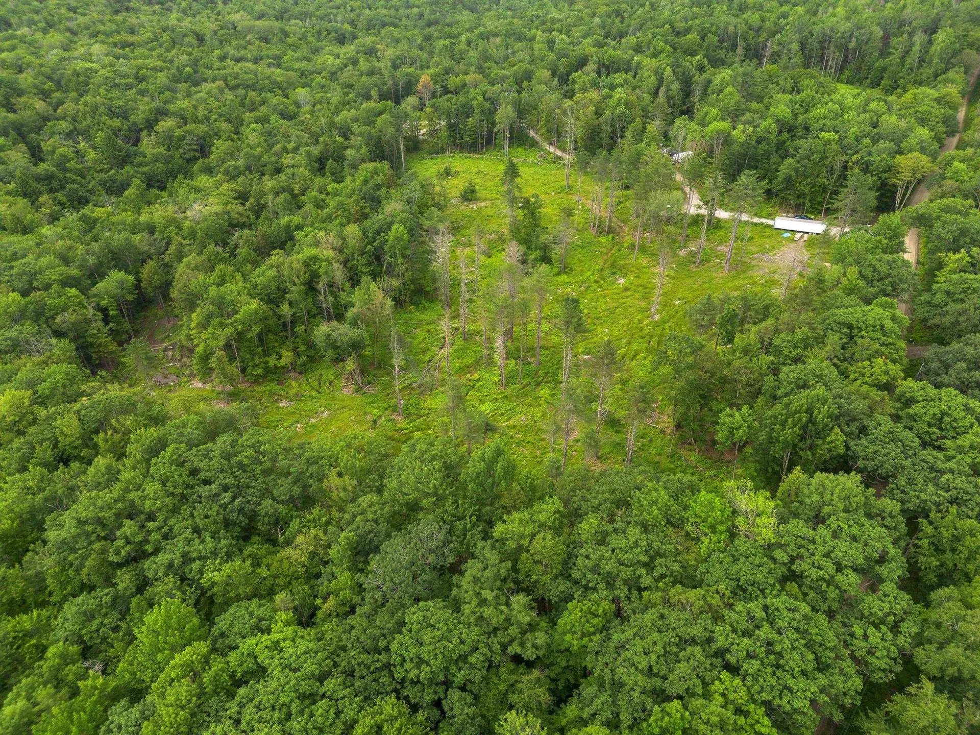 315 Gove Road Acworth NH 03601