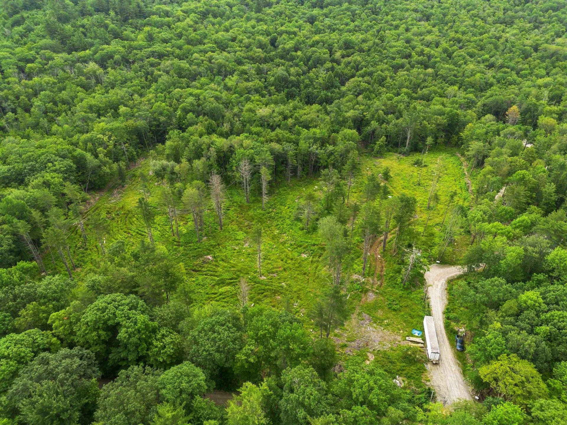 315 Gove Road Acworth NH 03601