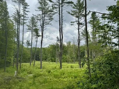315 Gove Road Acworth NH 03601