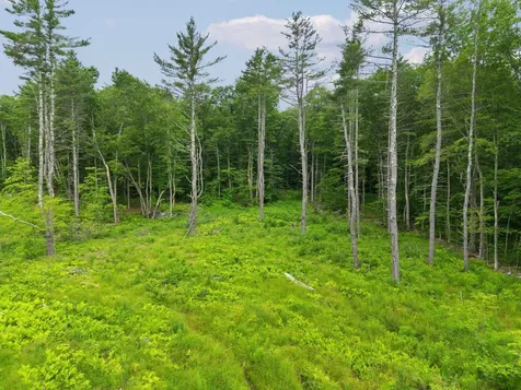 315 Gove Road Acworth NH 03601