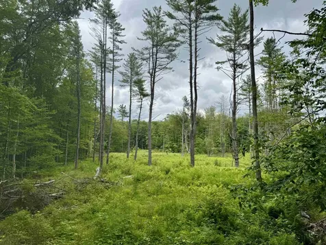 315 Gove Road Acworth NH 03601