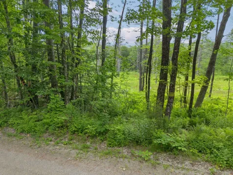 315 Gove Road Acworth NH 03601