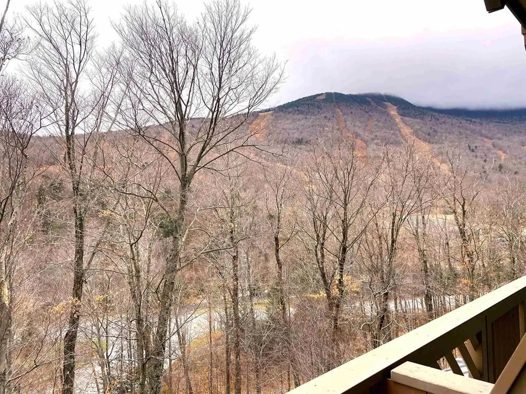 7412 Mountain Road Stowe VT 05672
