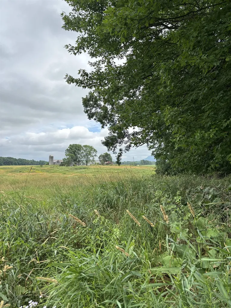 800 Jersey Street Addison VT 05491