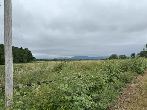 800 Jersey Street Addison VT 05491