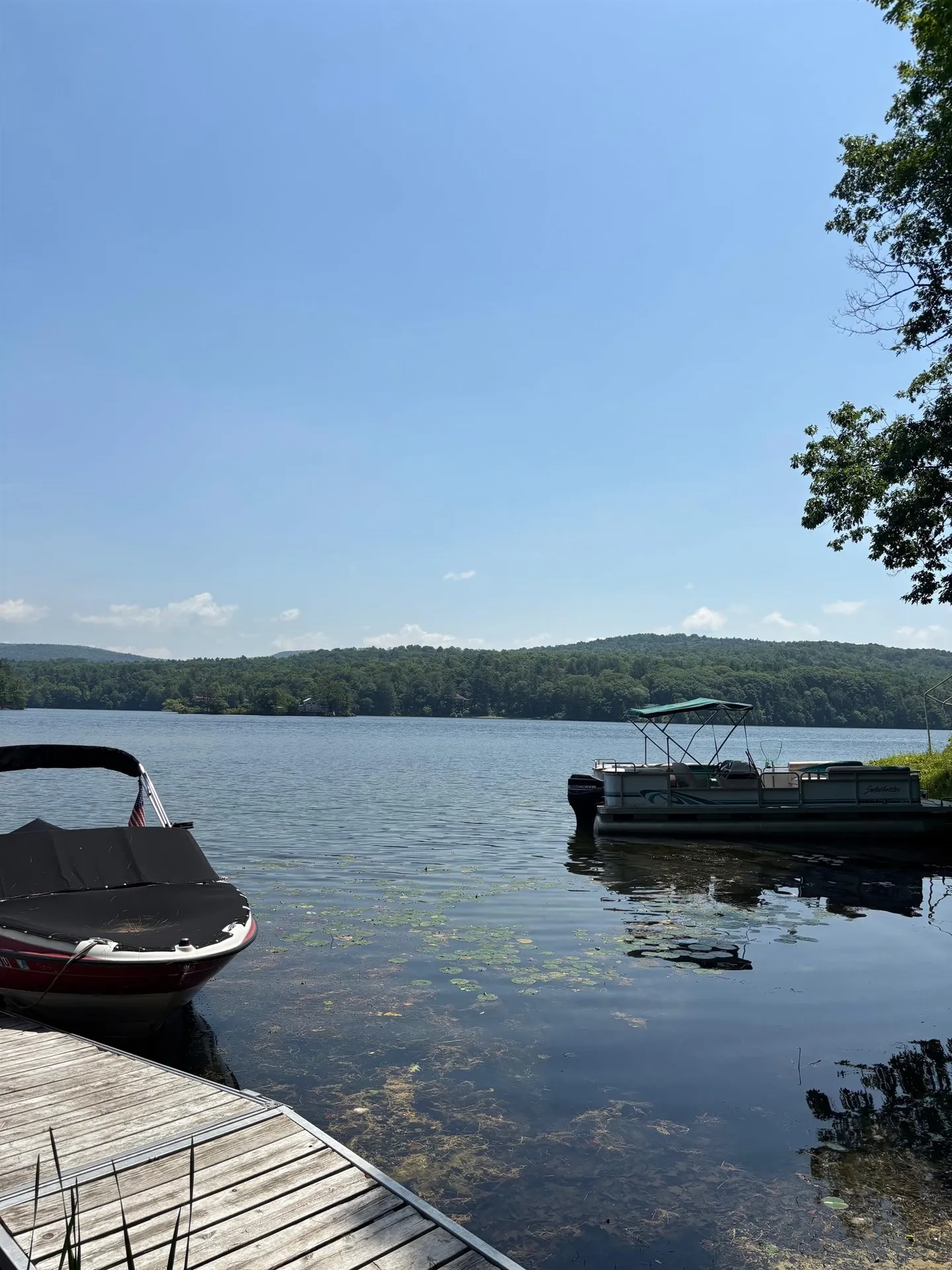 124 Sharon Drive Hubbardton VT 05743