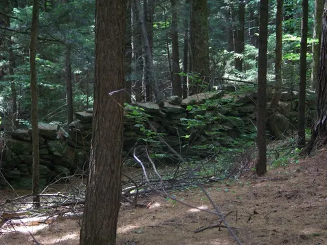 981 Quarry Hill Road Rochester VT 05767
