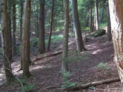 981 Quarry Hill Road Rochester VT 05767