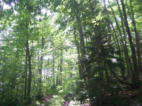981 Quarry Hill Road Rochester VT 05767
