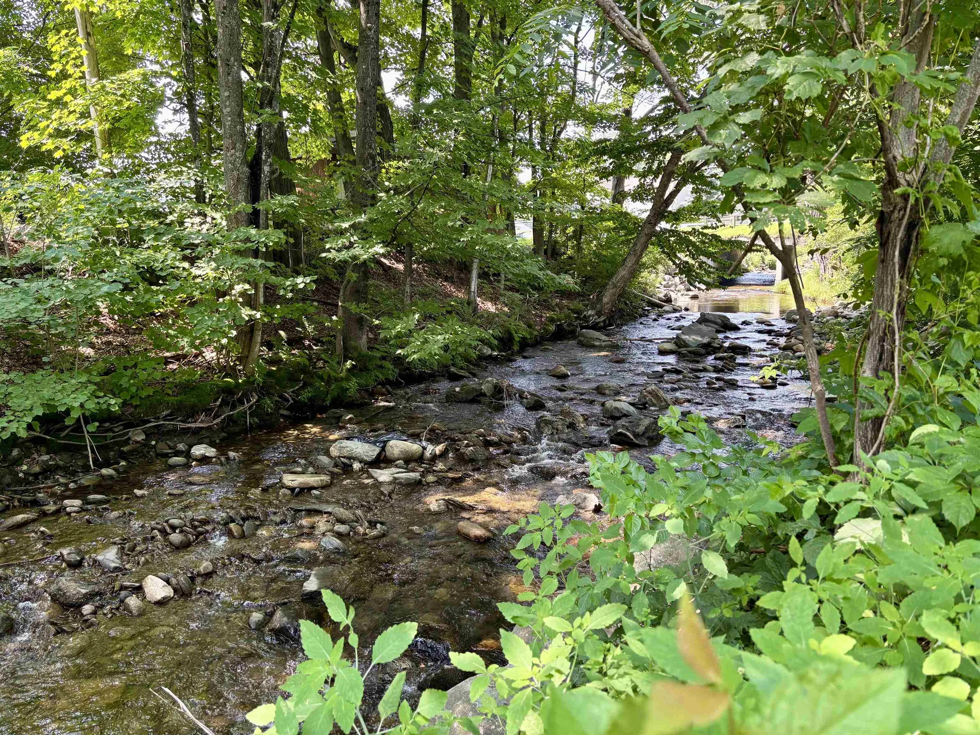 1187 Route 100 Westfield VT 05874