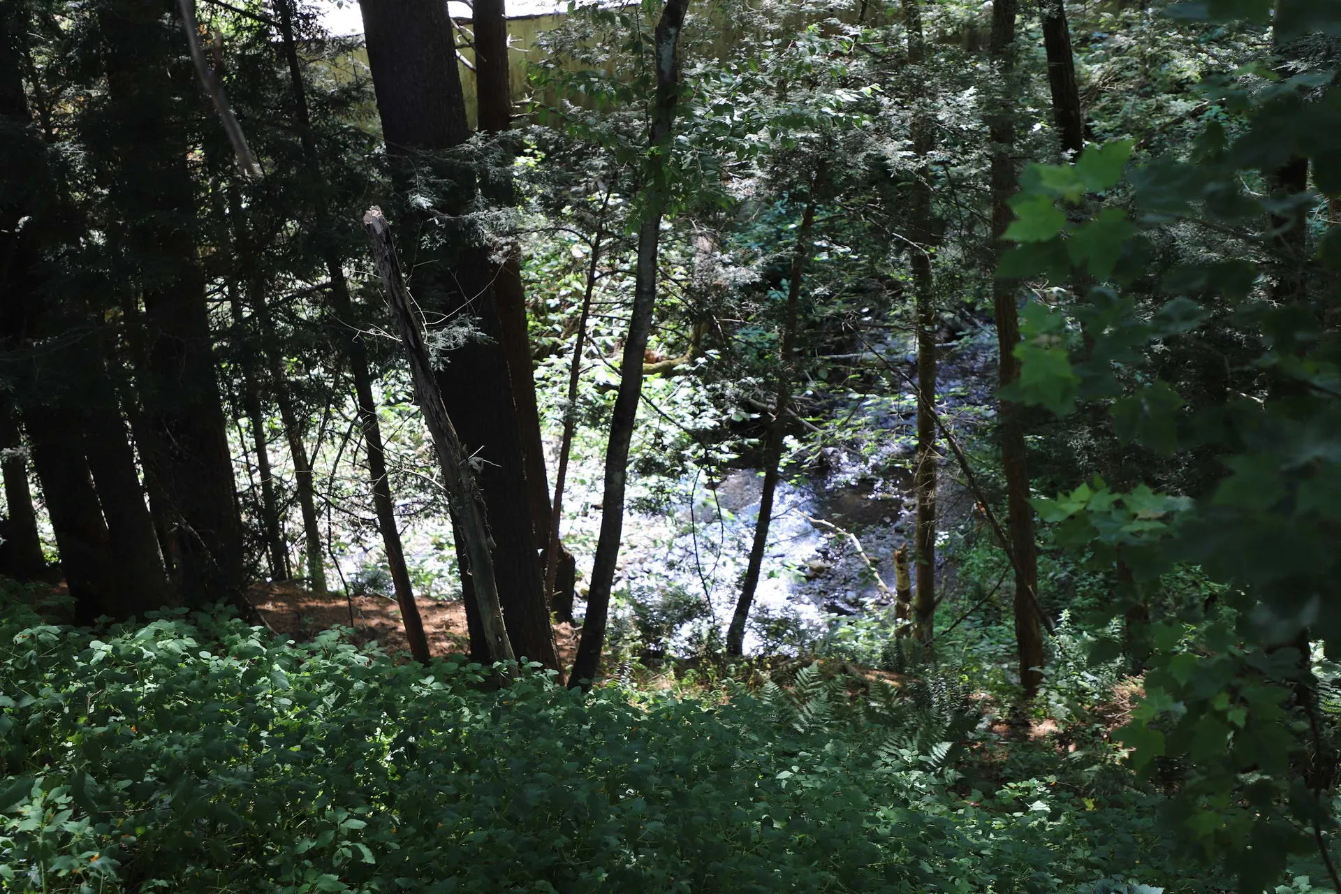 32 Sugar Maple Drive Dummerston VT 05346