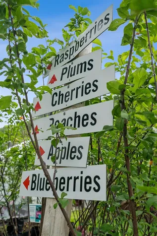 3782 Us Route 113 Thetford VT 05075