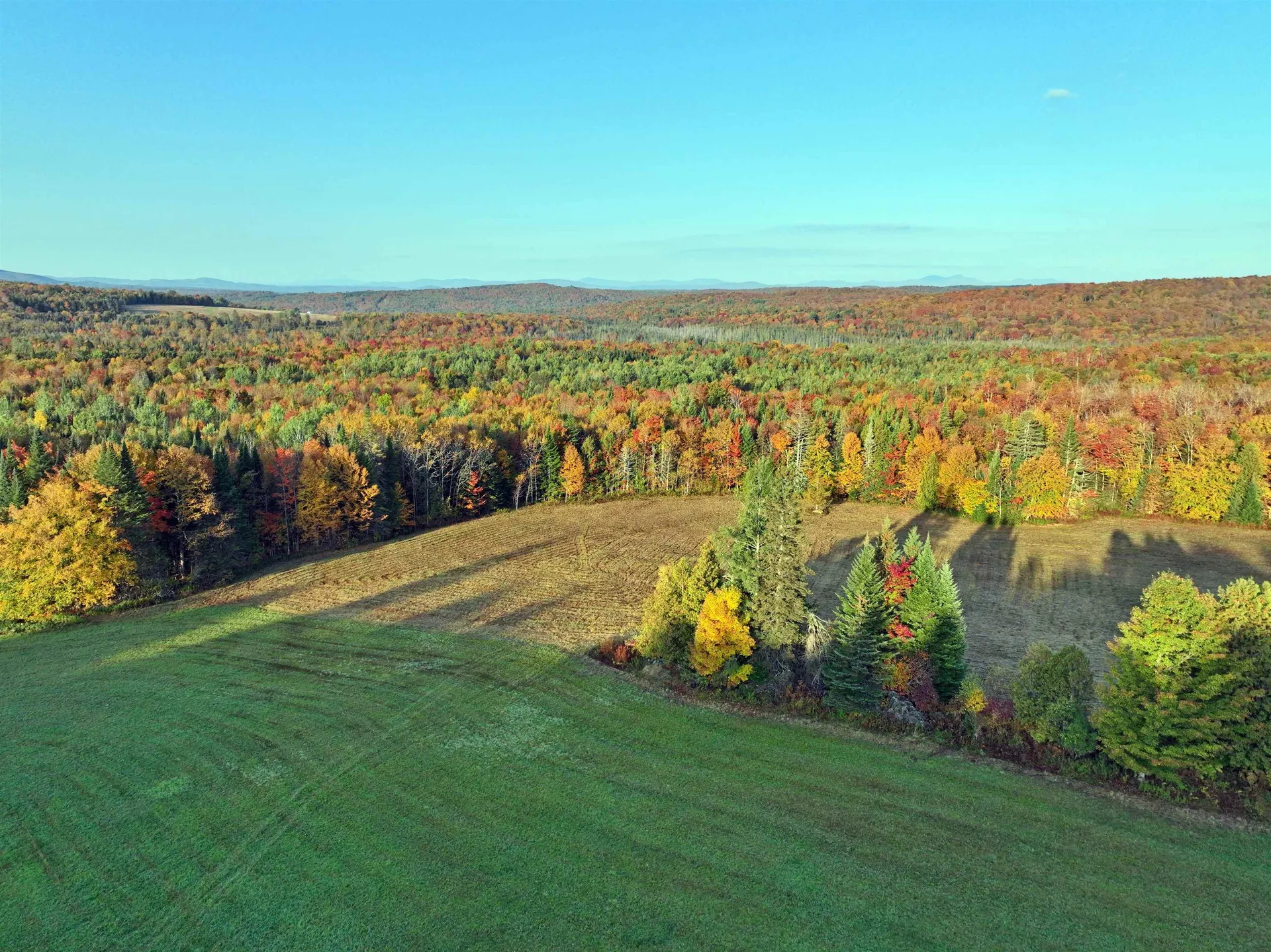 2600 Morgan Charleston Road Charleston VT 05872