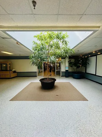 131 Lake Street Gilford NH 03249