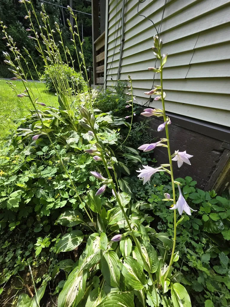 98 Merchant Street Barre City VT 05641