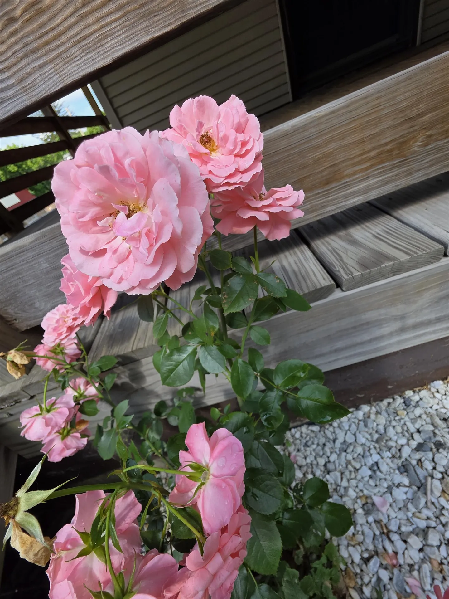 98 Merchant Street Barre City VT 05641