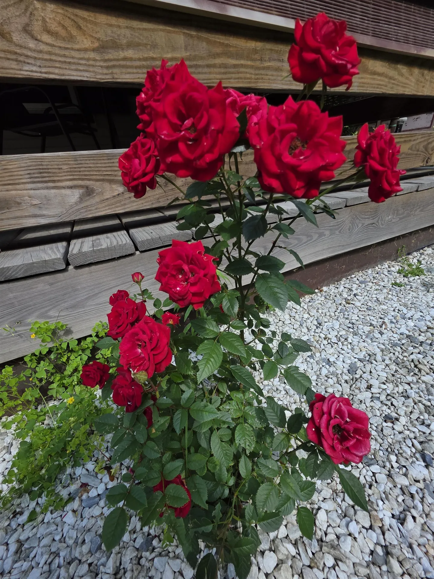 98 Merchant Street Barre City VT 05641