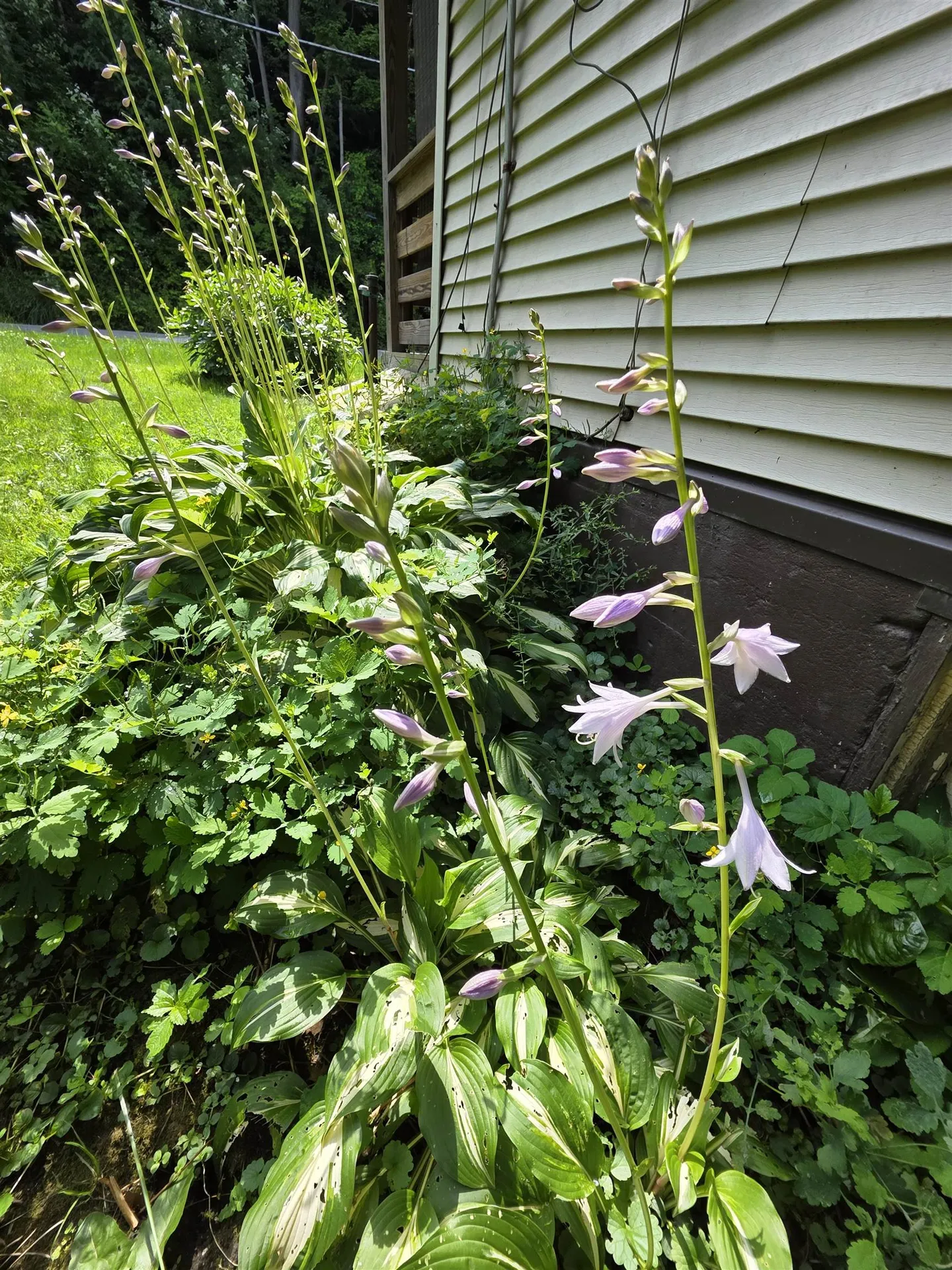 98 Merchant Street Barre City VT 05641