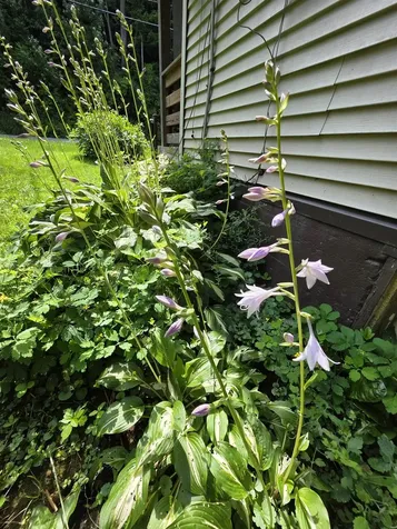 98 Merchant Street Barre City VT 05641