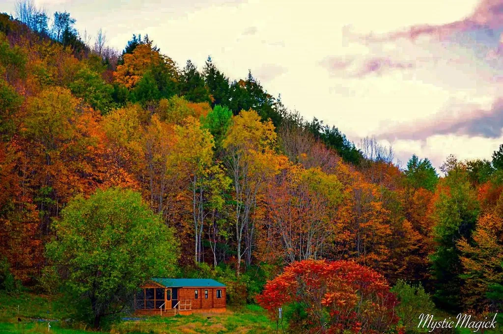 429 Community Drive Randolph VT 05061