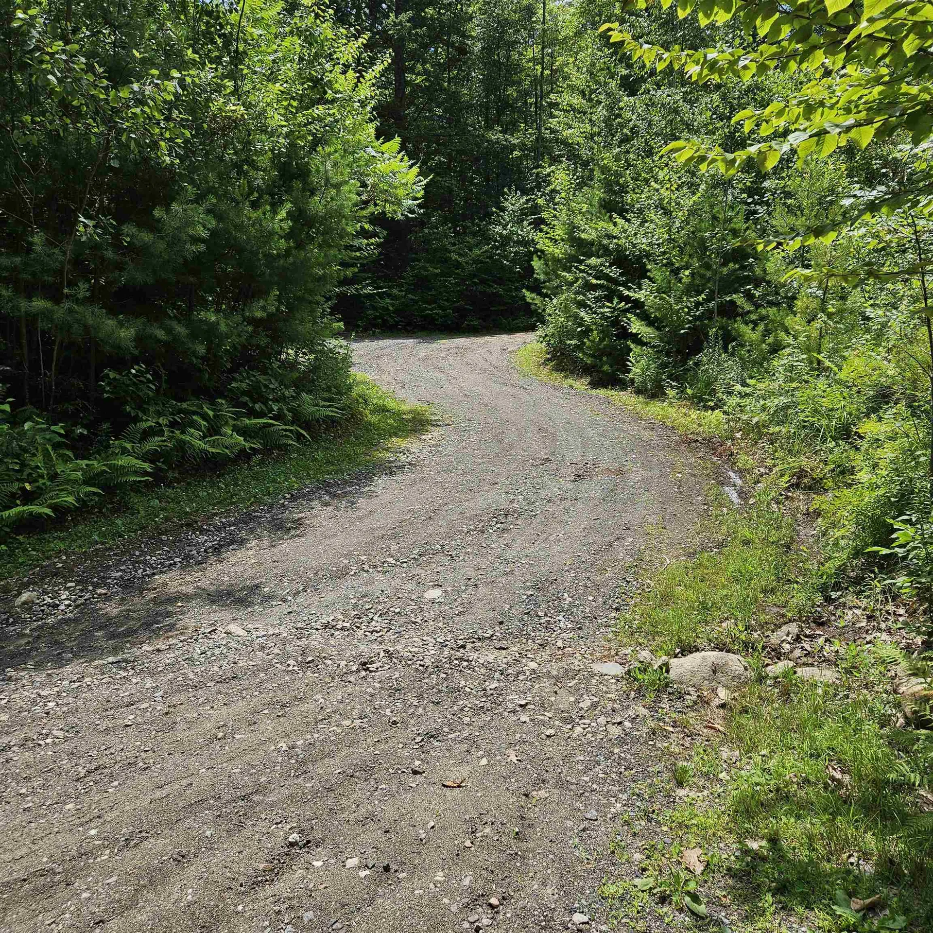 466 Beard Road Hillsborough NH 03244