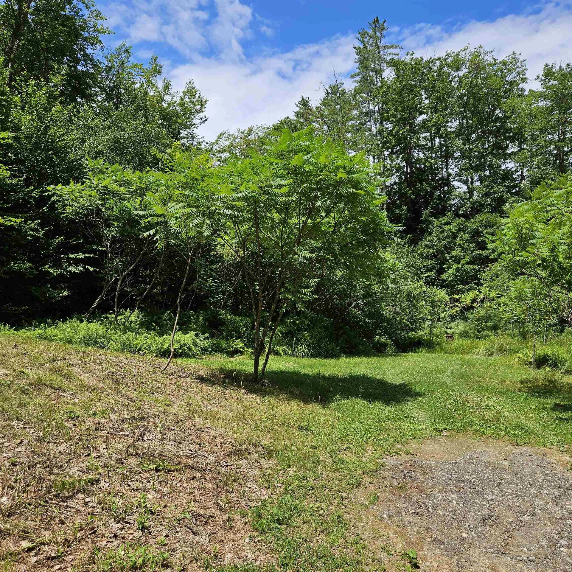 466 Beard Road Hillsborough NH 03244