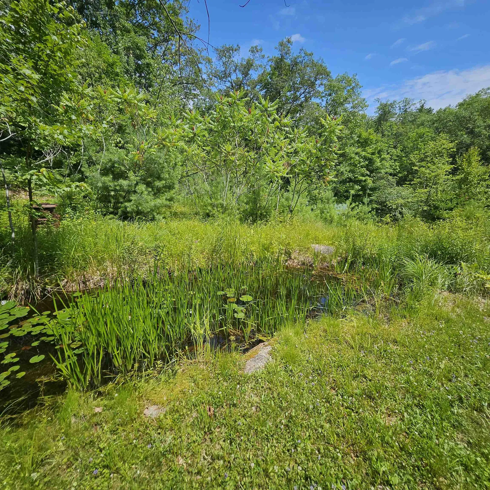 466 Beard Road Hillsborough NH 03244