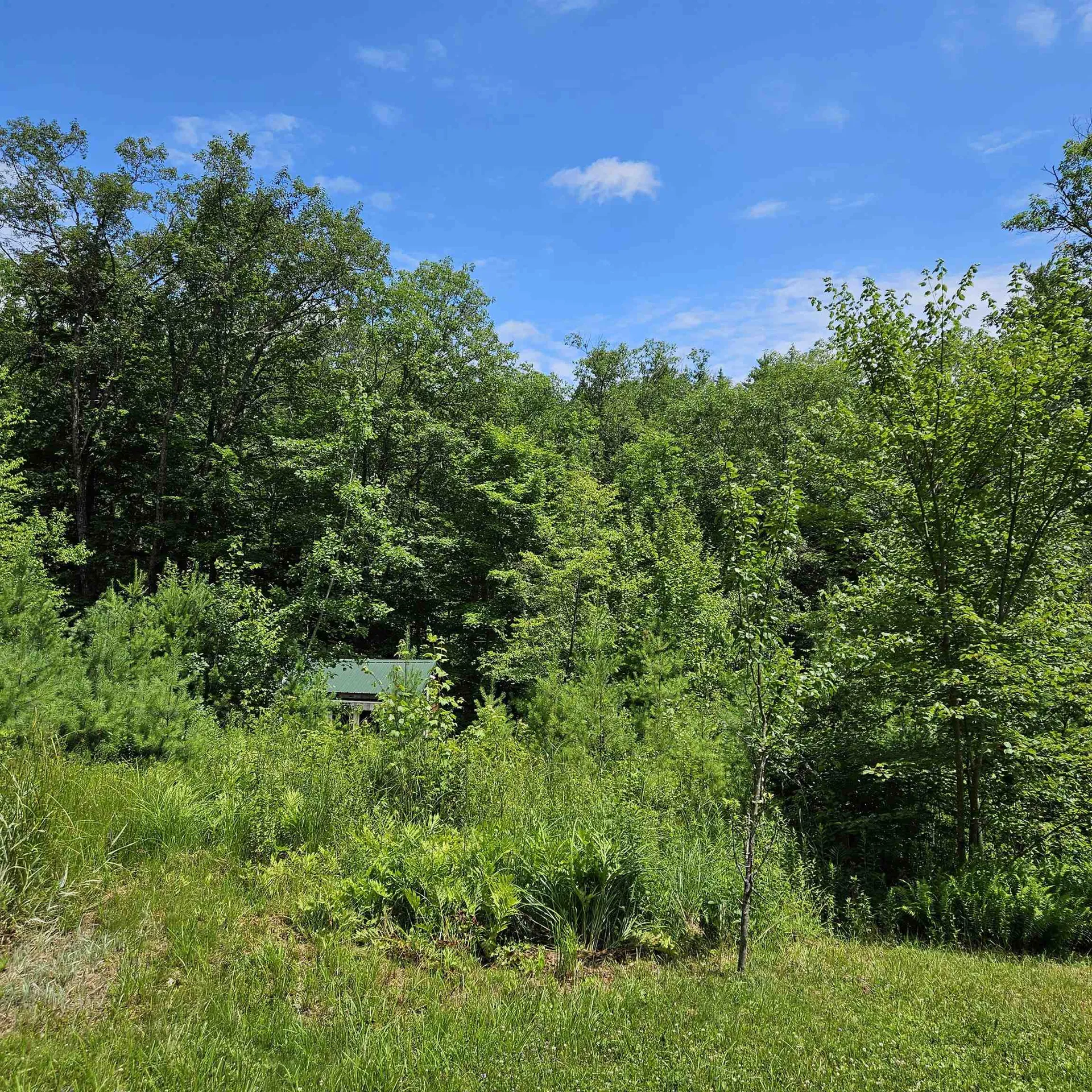 466 Beard Road Hillsborough NH 03244