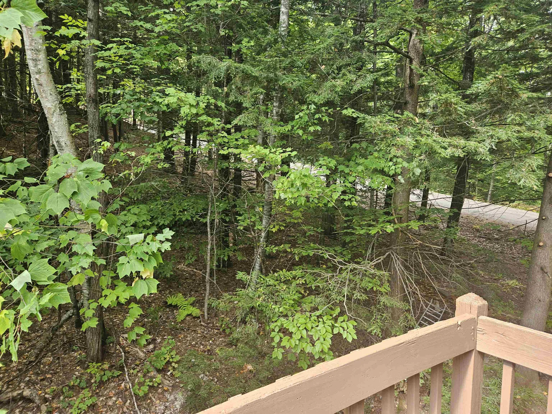 0 Highwoods Trail Ashland NH 03217