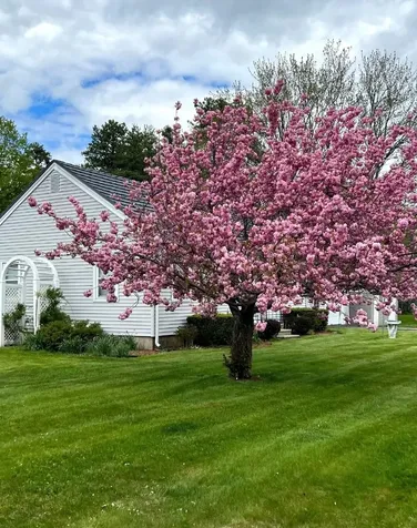 43 Branch Turnpike Concord NH 03301