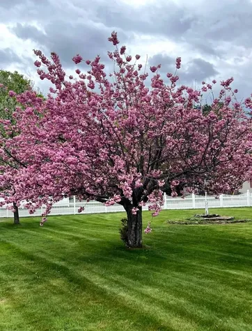 43 Branch Turnpike Concord NH 03301