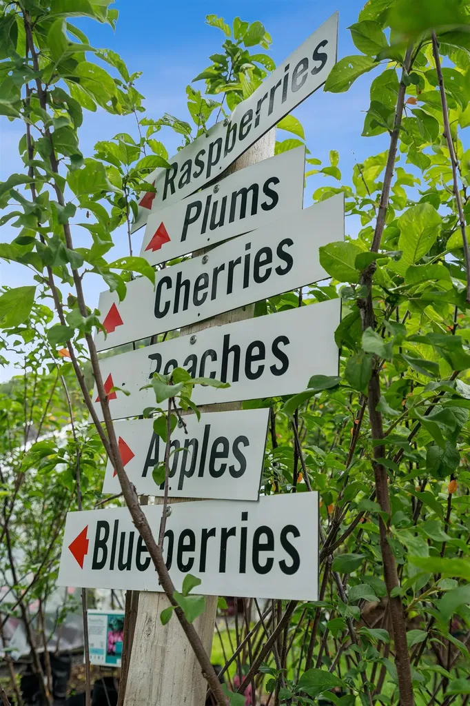 3782 Us Route 113 Thetford VT 05075