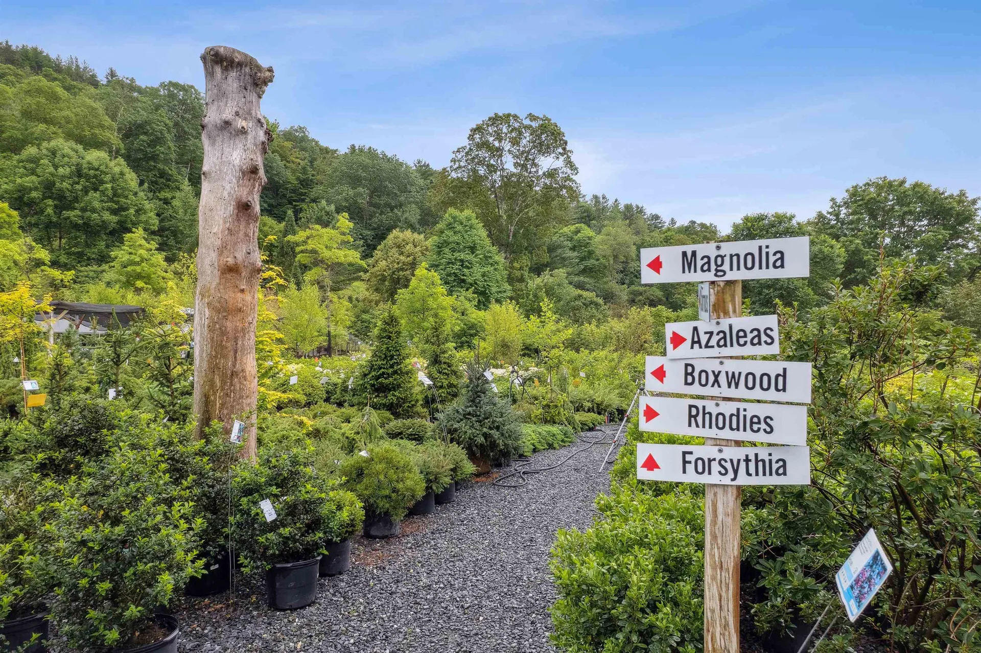 3782 Us Route 113 Thetford VT 05075