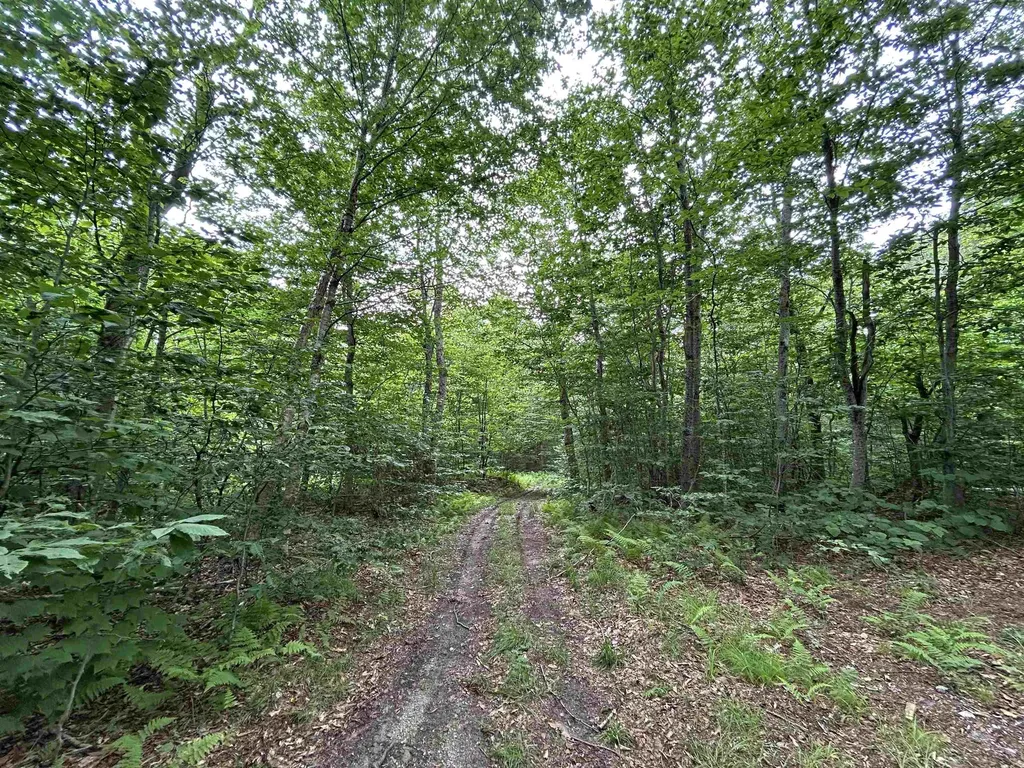 639 Wiley Mountain Road Readsboro VT 05350